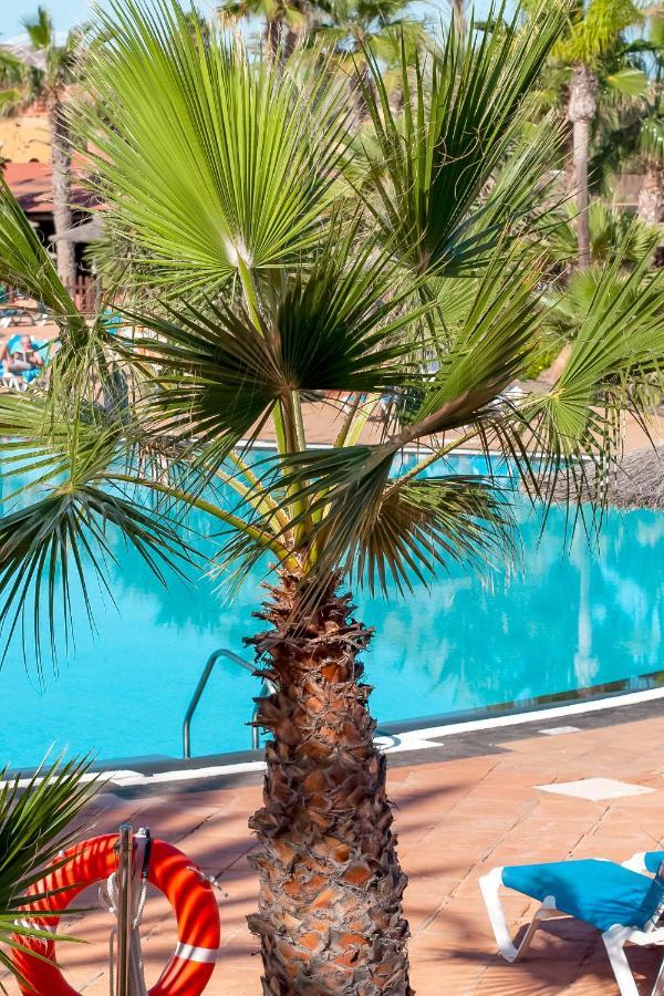 Fuerteventura Apartments Tamarindo 1 Corralejo Esterno foto